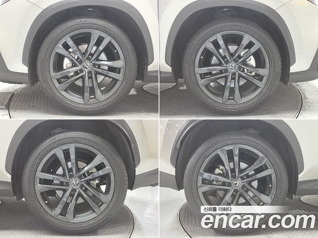 Lexus NX350h 2022 — ფოტო 15/20
