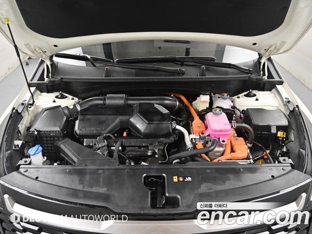 Kia Sportage 2025 — Фото 18/20