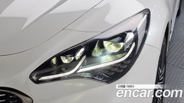 Kia Stinger Meister 2020 — ფოტო 31/46