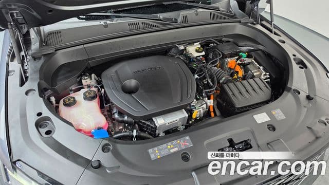 Renault Samsung Grand Koleos 2024 — Фото 6/20