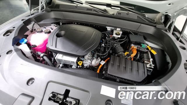 Renault Samsung Grand Koleos 2024 — Фото 6/20