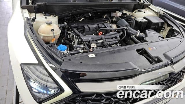 Kia Sportage 2023 — Şəkil 6/20