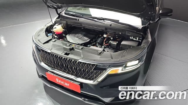 Kia Carnival 2021 — Фото 6/20