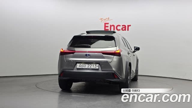 Lexus UX250h 2019 — Şəkil 4/20