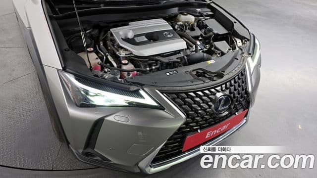 Lexus UX250h 2019 — Şəkil 6/20