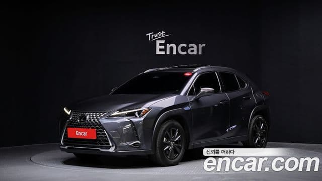 Lexus UX300h 2024 — Photo 8/20