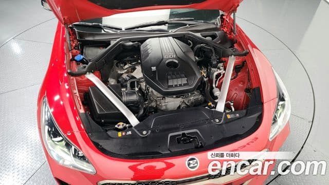Kia Stinger 2019 — ფოტო 6/20