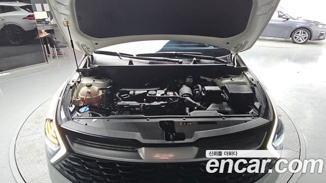 Kia Sportage 2021 — Şəkil 6/20