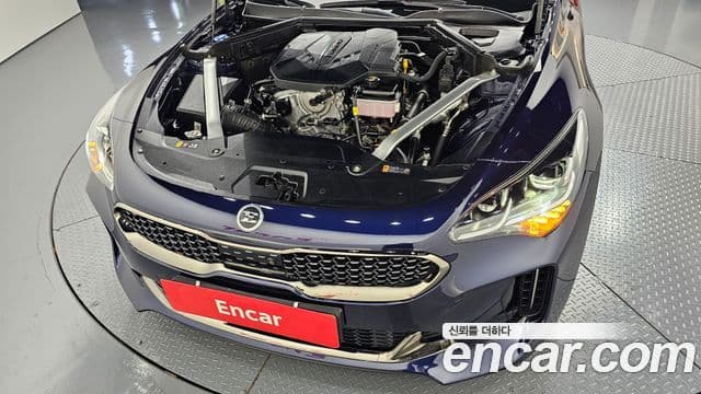 Kia Stinger 2020 — Фото 6/20