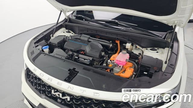 Kia Sorento 2021 — Фото 6/20