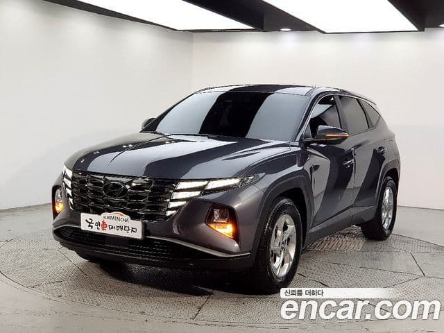 Hyundai The New Tucson 2021 — ფოტო 20/20