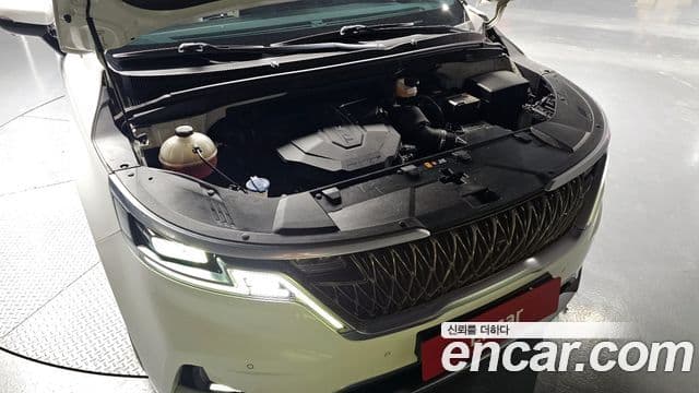 Kia Carnival 2021 — ფოტო 6/20