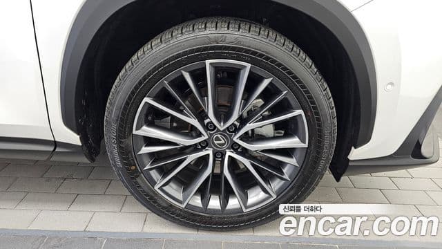 Lexus NX350h 2024 — Şəkil 5/20