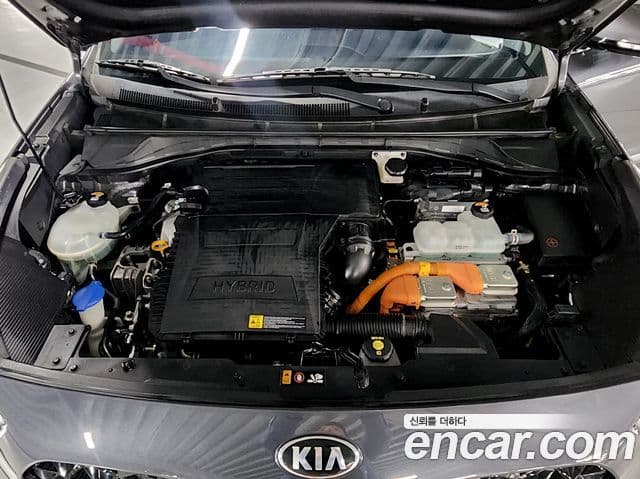 Kia Niro 2019 — ფოტო 16/17