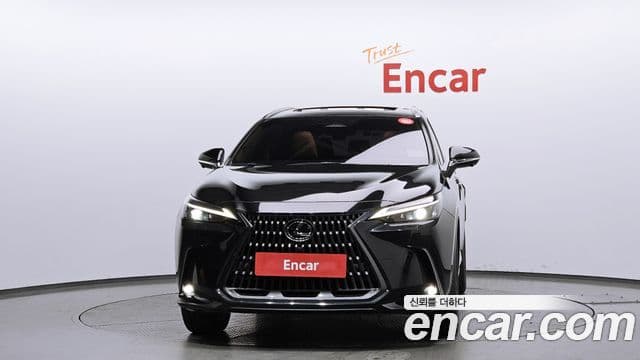 Lexus NX350h 2023 — ფოტო 3/20