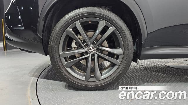 Lexus NX350h 2023 — ფოტო 5/20