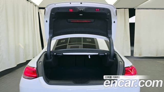 Mercedes-Benz CLS-Class 2019 — ფოტო 20/20