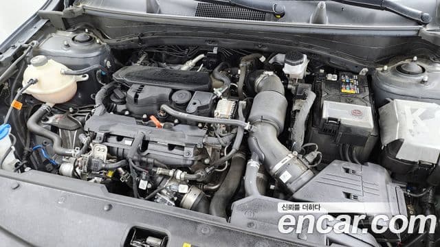 Kia Sportage 2022 — ფოტო 6/20