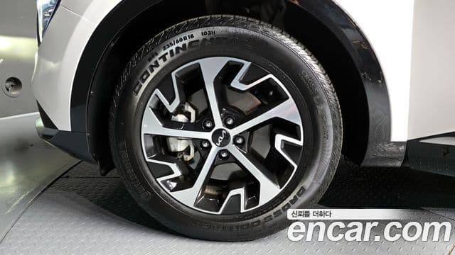 Kia Sportage 2023 — Фото 5/20