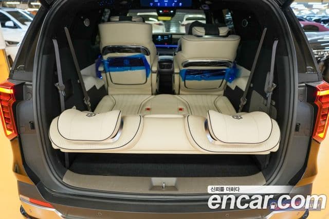 Kia Carnival 2024 — ფოტო 11/20
