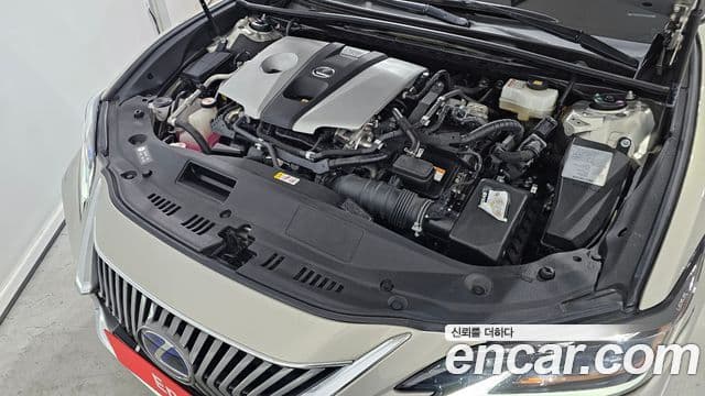 Lexus ES300h 2019 — ფოტო 19/20