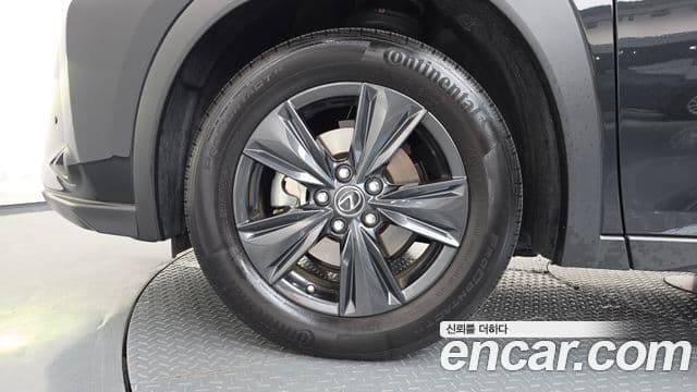Lexus UX250h 2024 — Фото 5/20
