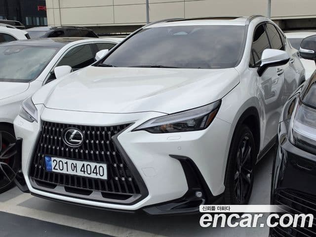 Lexus NX350h 2025 — ფოტო 2/20