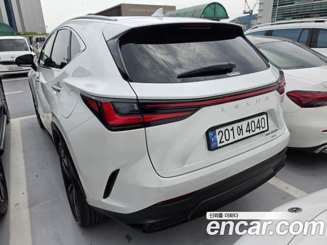 Lexus NX350h 2025 — ფოტო 4/20