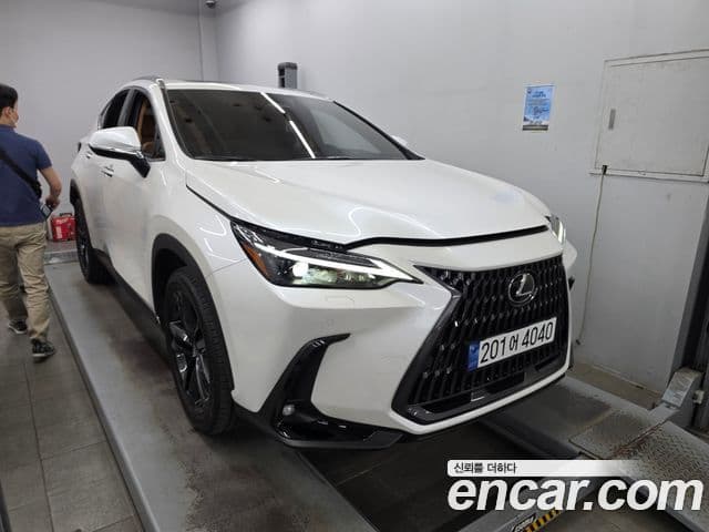 Lexus NX350h 2025 — ფოტო 9/20