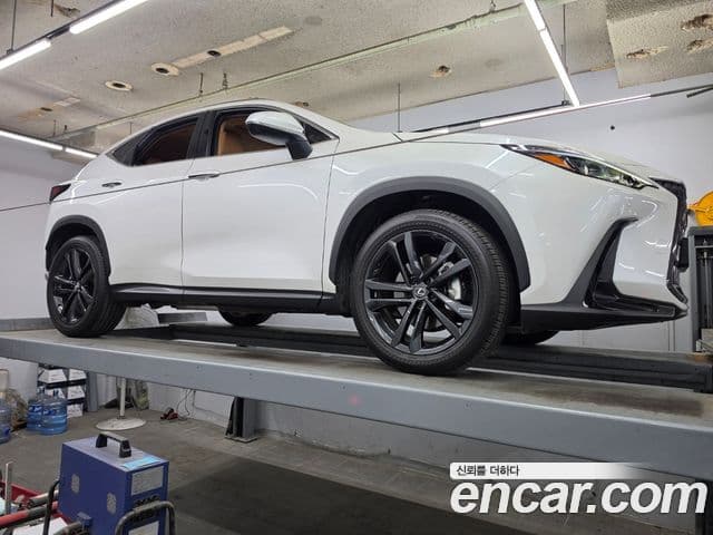 Lexus NX350h 2025 — ფოტო 15/20