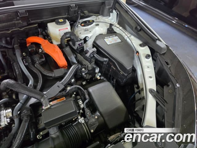 Lexus NX350h 2025 — ფოტო 18/20