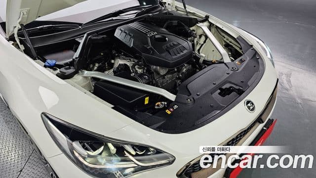 Kia Stinger 2018 — ფოტო 6/20