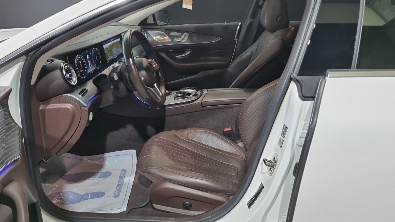 Mercedes-Benz CLS-Class 2020 — ფოტო 6/18