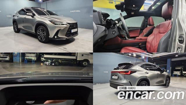 Lexus NX350h 2024 — ფოტო 12/20