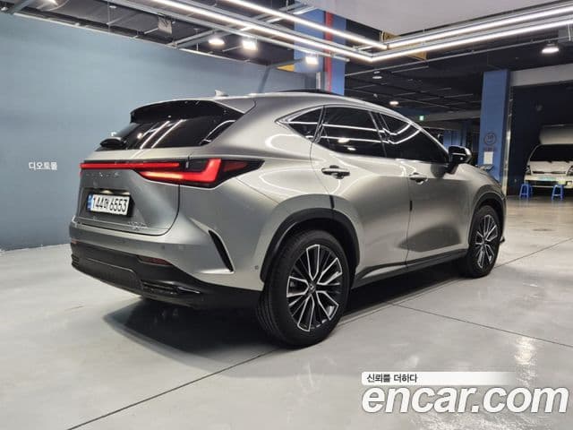Lexus NX350h 2024 — ფოტო 15/20