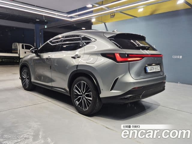 Lexus NX350h 2024 — ფოტო 3/20