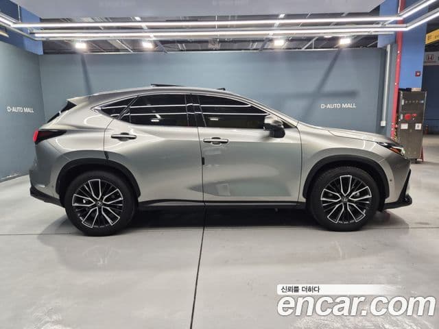 Lexus NX350h 2024 — ფოტო 19/20