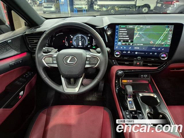 Lexus NX350h 2024 — ფოტო 8/20