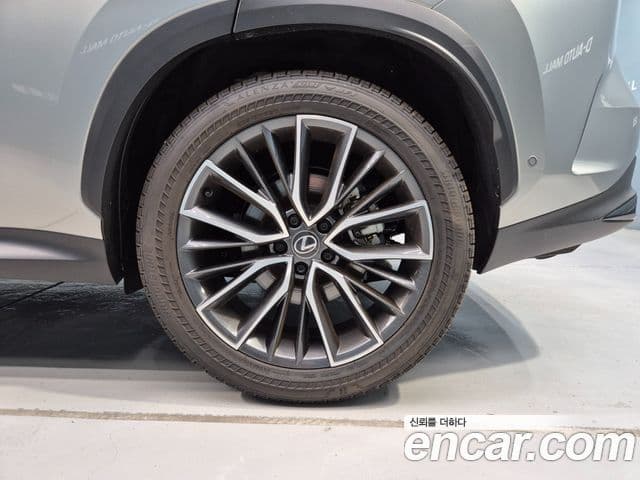 Lexus NX350h 2024 — ფოტო 16/20