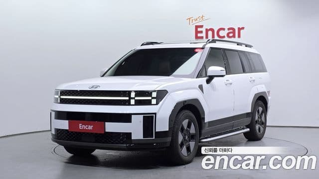 Hyundai Santa Fe 2024 — ფოტო 1/20