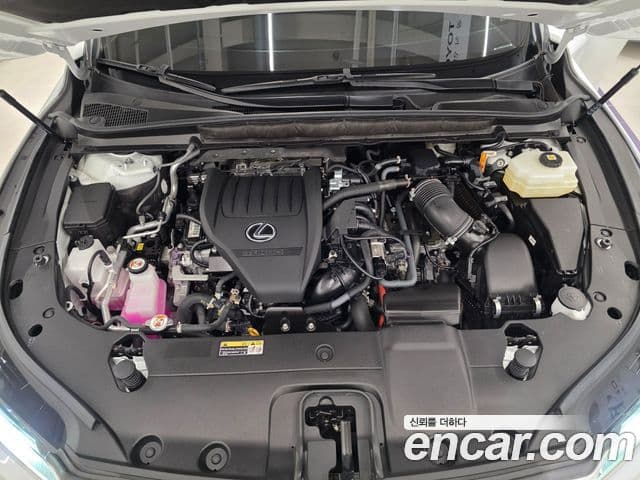Lexus RX500h 2025 — ფოტო 6/16