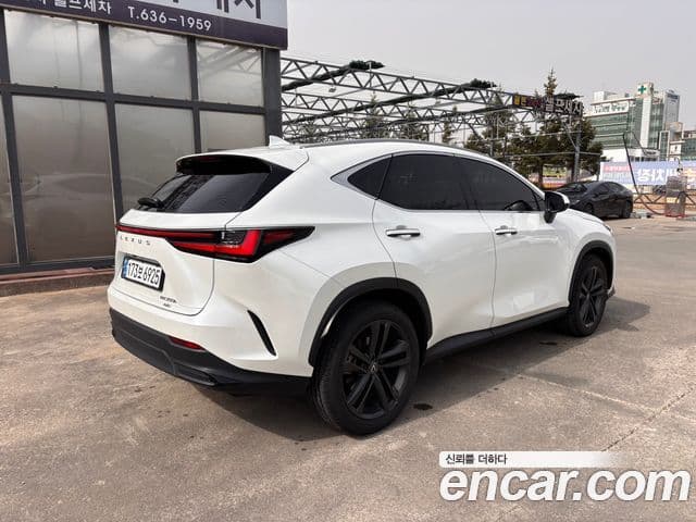 Lexus NX350h 2024 — ფოტო 1/19
