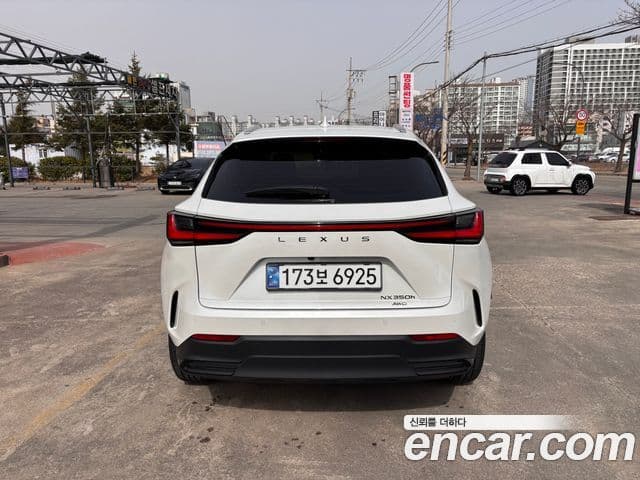 Lexus NX350h 2024 — ფოტო 3/19