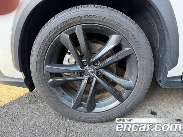Lexus NX350h 2024 — Photo 11/16