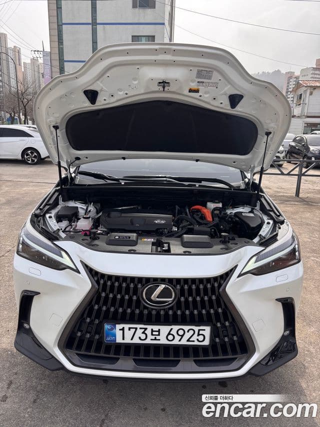 Lexus NX350h 2024 — ფოტო 4/19
