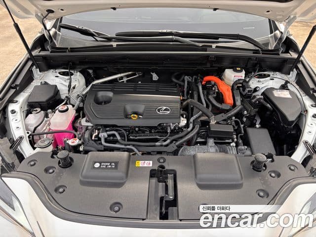Lexus NX350h 2024 — ფოტო 5/19