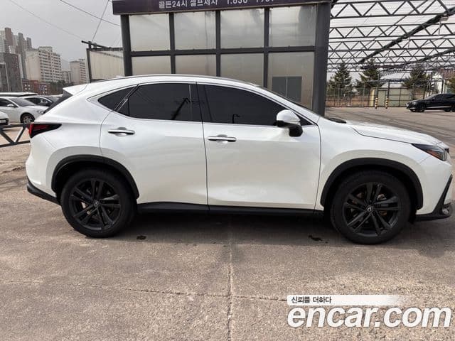 Lexus NX350h 2024 — ფოტო 17/19