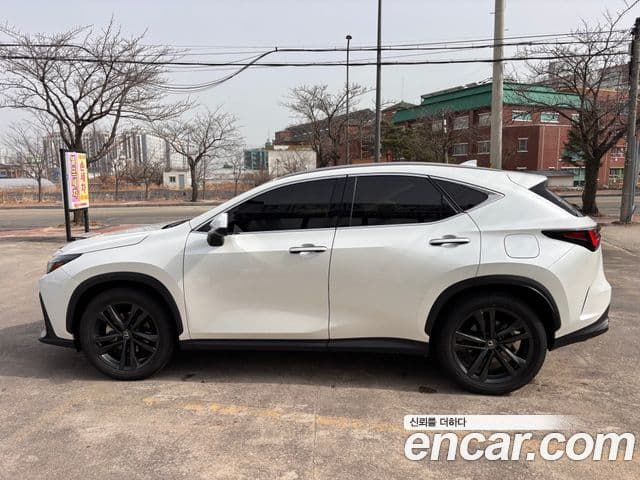 Lexus NX350h 2024 — ფოტო 18/19