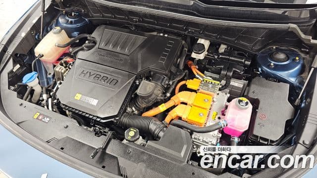 Kia Niro 2022 — Şəkil 6/20