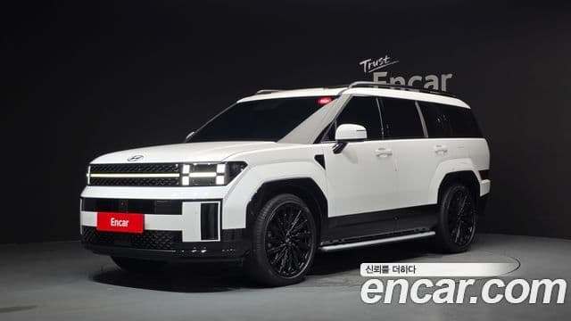 Hyundai Santa Fe 2024 — ფოტო 1/20